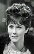 Full Nancy Berg filmography who acted in the TV series Mr. Broadway.
