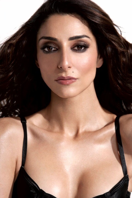 Full Necar Zadegan filmography who acted in the TV series Emily Owens M.D..