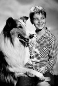Full Tommy Rettig filmography who acted in the TV series Lassie.