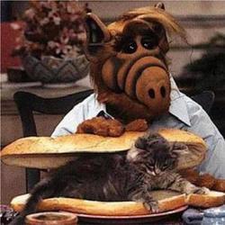ALF photo from the set.