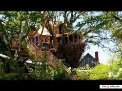 Treehouse Masters photo from the set.