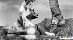 Lassie photo from the set.