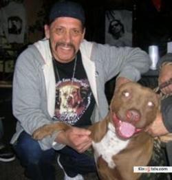 Pit Bulls and Parolees photo from the set.