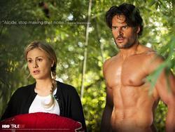 True Blood photo from the set.