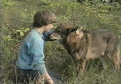 The Littlest Hobo photo from the set.