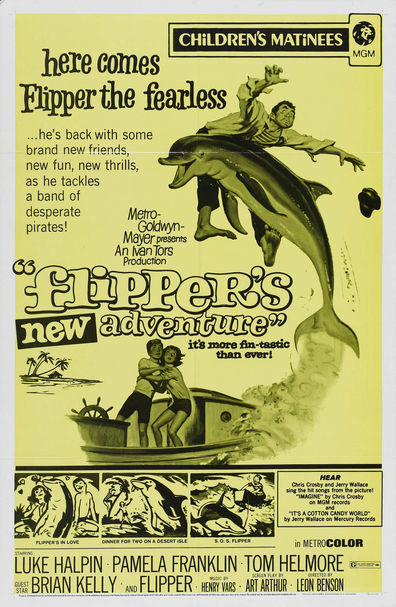 TV series Flipper poster