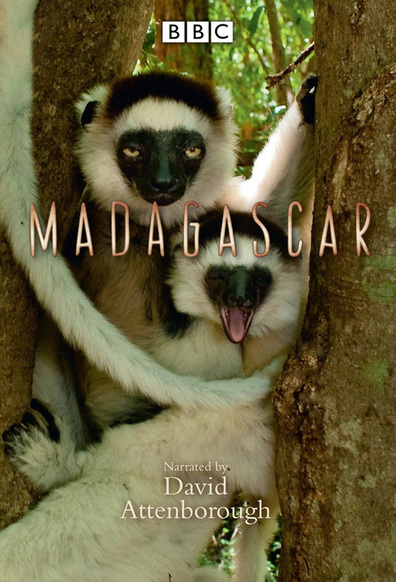 TV series Madagascar poster