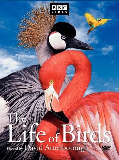 TV series The Life of Birds poster