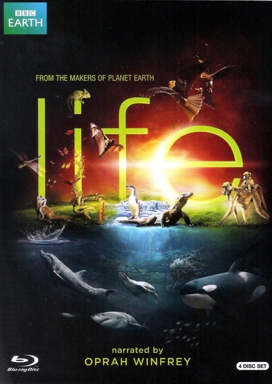 TV series Life poster