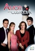 TV series Amor en custodia poster