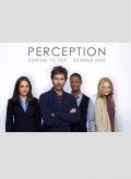 TV series Perception poster