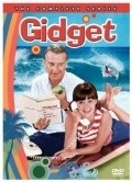 TV series Gidget  (serial 1965-1966) poster
