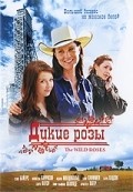 TV series Wild Roses poster