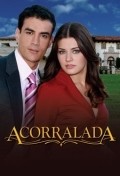 TV series Acorralada poster