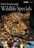 TV series Wildlife Specials poster