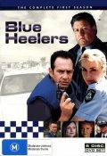 TV series Blue Heelers  (serial 1994-2006) poster