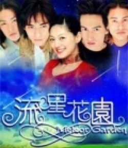 TV series Liu xing hua yuan poster