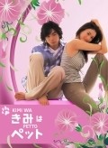 TV series Kimi wa petto poster