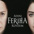TV series Adini feriha koydum  (serial 2011 - ...) poster