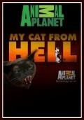 TV series My Cat from Hell poster