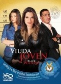 TV series La viuda joven poster