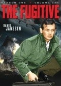 TV series The Fugitive poster