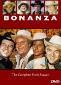 TV series Bonanza poster