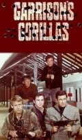 TV series Garrison's Gorillas  (serial 1967-1968) poster