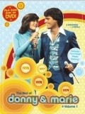 TV series Donny and Marie poster