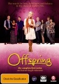 TV series Offspring poster