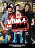 TV series Viva la Bam poster