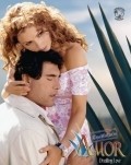 TV series Destilando amor poster