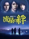 TV series Ryusei no kizuna poster