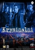 TV series Kryminalni poster