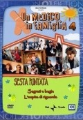 TV series Un medico in famiglia poster