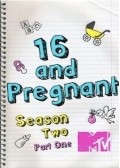 TV series 16 and Pregnant poster