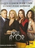 TV series Meu Amor poster