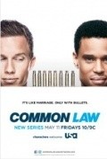 TV series Common Law poster