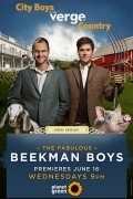 TV series The Fabulous Beekman Boys poster