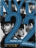TV series NYC 22 poster