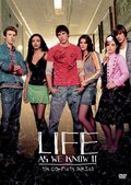 TV series Life As We Know It poster