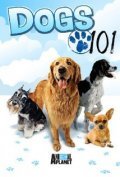TV series Dogs 101 poster