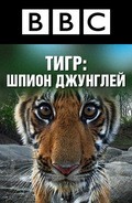 TV series Tiger: Spy in the Jungle poster