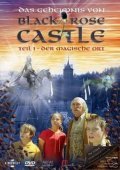 TV series The Mystery of Black Rose Castle poster