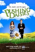 TV series Pushing Daisies poster
