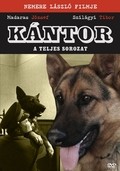 TV series Kántor poster
