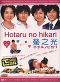 TV series Hotaru no hikari poster