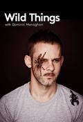 TV series Wild Things with Dominic Monaghan poster