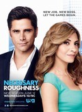 TV series Necessary Roughness poster