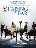 TV series Raising the Bar poster